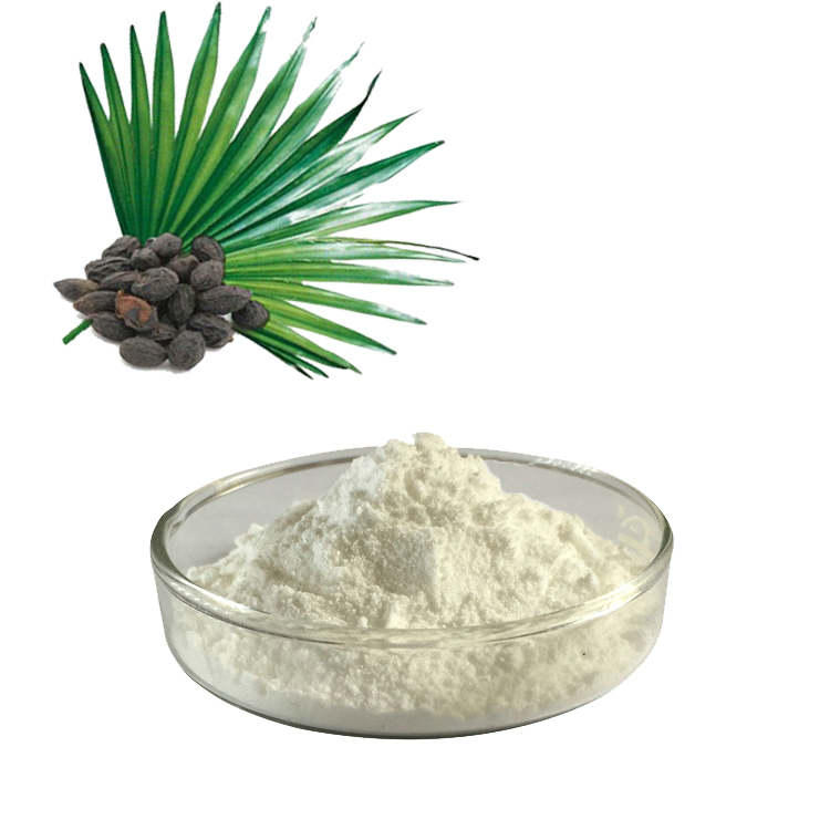 Saw Palmetto Extract là gì? Và lợi ích của Saw Palmetto Extract là gì?