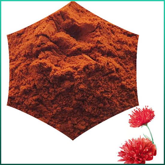 Chiết xuất Rhodiola Rosea